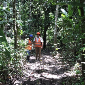  - investigación forestal, uso innovador de la madera.