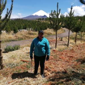  - deforestación,jalisco