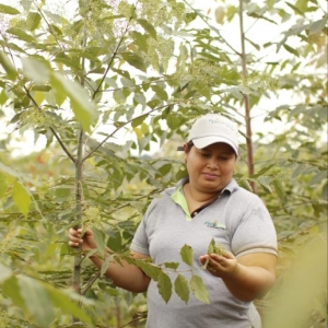  - wildlife, investigación forestal