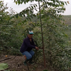  - educación ambiental,mexico