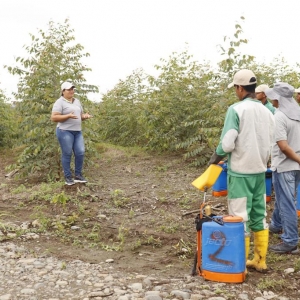  - naciones unidas, manejo sostenible del paisaje