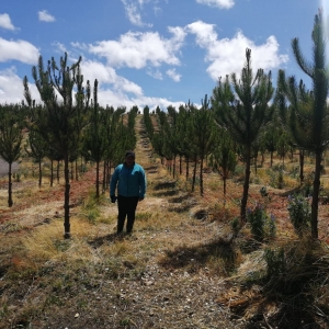  - manejo sostenible del paisaje, educación ambiental