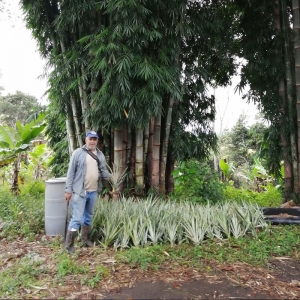  - uso innovador de la madera., educación ambiental